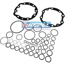Reparo Motor Hidráulico Case 00407166 CNH 00407166