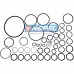 Reparo Motor Hidráulico Case 00407166 CNH 00407166