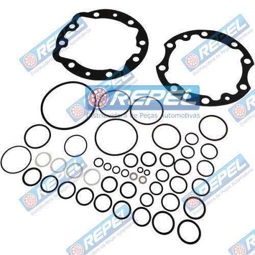 Reparo Motor Hidráulico Case 00407166 CNH 00407166