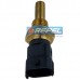 Sensor Temperatura Bosch 0281002744 Volvo 20513340