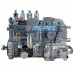 Bomba Injetora Combustível Bosch 0401374004 Valtra 89708500 Agco 89708500