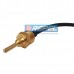 Sensor Temperatura Scania 1526158 Scania 1445040