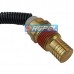 Sensor Temperatura Case New Holland 277379A1