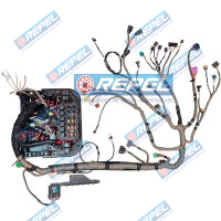 Chicote Elétrico VW 2R2971050G