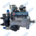 Bomba Injetora Combustível Delphi 42055988-1 John Deere DZ122390