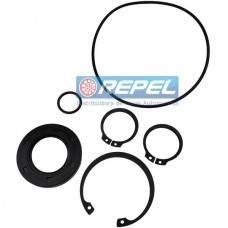 Reparo Motor Hidráulico Eaton 74415-902 Eaton 74415902