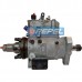 Bomba Injetora Combustível Valtra 836654724 AGCO 836654724 Stanadyne DB4327-5575 Stanadyne DB43275575