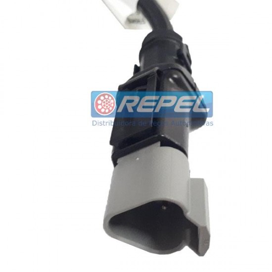 その他 Chiho 1_000000000834.jpg?1749532263