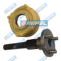 Planetária DR10531663