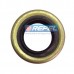 Retentor Partida Delco Remy 42MT 12V 24V 