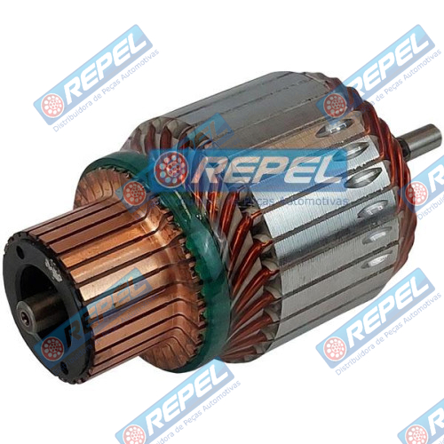 Induzido Partida Delco DR61011893 Delco 61011893M