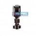 Terminal Especial Rainha ETE7866 Rainha RS7866