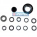 Reparo Alternador Prestolite PD00184 Leece Neville P00184