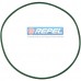 Anel Oring Bosch Rexroth R913050498