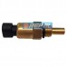 Sensor Temperatura John Deere RE48419  
