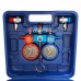 Manifold Ar RP500058 