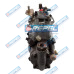 Bomba Injetora Combustível Lucas V3642F331 Cav V3642F331 Delphi V3642F331