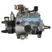 Bomba Injetora Delphi V8960A020W4 Iveco 5043842580