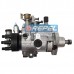 Bomba Injetora Combusitvel Delphi V8961A110W New Holland 504189428
