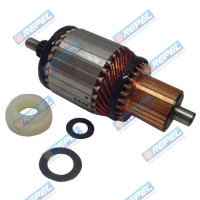 Induzido Partida M100R 24V Cam. VW Cargo